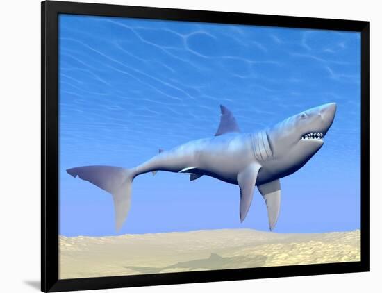 Shark Swimming Underwater with Reflections of the Sun-null-Framed Art Print