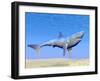 Shark Swimming Underwater with Reflections of the Sun-null-Framed Art Print