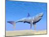 Shark Swimming Underwater with Reflections of the Sun-null-Mounted Art Print