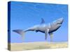 Shark Swimming Underwater with Reflections of the Sun-null-Stretched Canvas