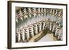 Shark Teeth and Jaws-null-Framed Photographic Print