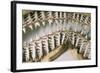 Shark Teeth and Jaws-null-Framed Photographic Print