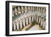 Shark Teeth and Jaws-null-Framed Photographic Print