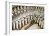 Shark Teeth and Jaws-null-Framed Photographic Print