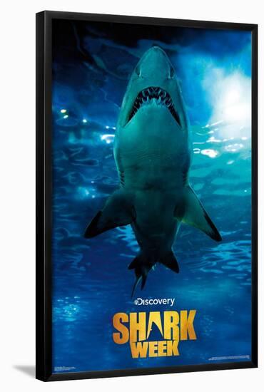 Shark Week - Smile-Trends International-Framed Poster