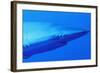 Shark-null-Framed Photographic Print