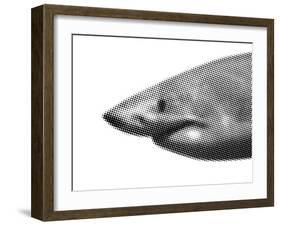 Shark-sean gladwell-Framed Art Print