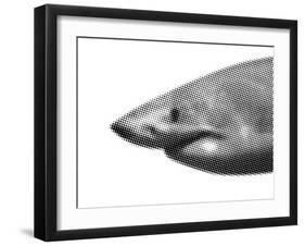 Shark-sean gladwell-Framed Art Print