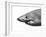 Shark-sean gladwell-Framed Art Print