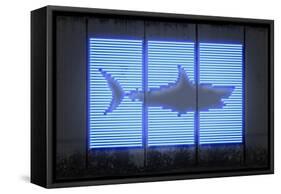 Shark-O.M.-Framed Stretched Canvas