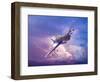 Shark-Ata Alishahi-Framed Giclee Print