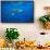 Sharks and Fish Swimming Underwater, Tahiti, French Polynesia-null-Framed Stretched Canvas displayed on a wall