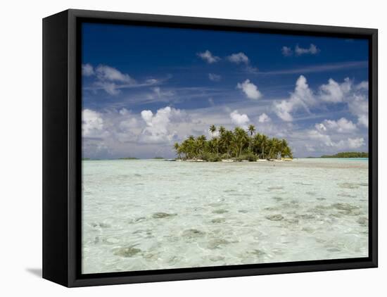 Sharks, Blue Lagoon, Rangiroa, Tuamotu Archipelago, French Polynesia Islands-Sergio Pitamitz-Framed Stretched Canvas