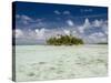 Sharks, Blue Lagoon, Rangiroa, Tuamotu Archipelago, French Polynesia Islands-Sergio Pitamitz-Stretched Canvas