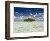 Sharks, Blue Lagoon, Rangiroa, Tuamotu Archipelago, French Polynesia Islands-Sergio Pitamitz-Framed Photographic Print