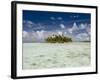 Sharks, Blue Lagoon, Rangiroa, Tuamotu Archipelago, French Polynesia Islands-Sergio Pitamitz-Framed Photographic Print