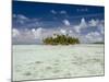 Sharks, Blue Lagoon, Rangiroa, Tuamotu Archipelago, French Polynesia Islands-Sergio Pitamitz-Mounted Photographic Print