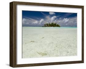 Sharks, Blue Lagoon, Rangiroa, Tuamotu Archipelago, French Polynesia Islands-Sergio Pitamitz-Framed Photographic Print