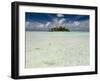 Sharks, Blue Lagoon, Rangiroa, Tuamotu Archipelago, French Polynesia Islands-Sergio Pitamitz-Framed Photographic Print