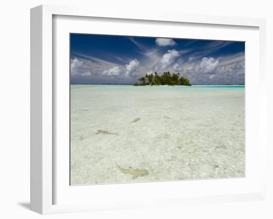 Sharks, Blue Lagoon, Rangiroa, Tuamotu Archipelago, French Polynesia Islands-Sergio Pitamitz-Framed Photographic Print