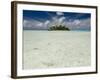 Sharks, Blue Lagoon, Rangiroa, Tuamotu Archipelago, French Polynesia Islands-Sergio Pitamitz-Framed Photographic Print