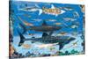 Sharks for Kids-null-Stretched Canvas