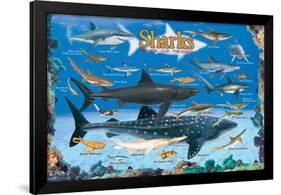 Sharks for Kids-null-Framed Art Print