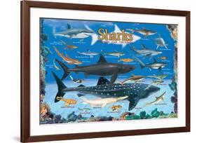 Sharks for Kids-null-Framed Art Print
