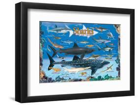 Sharks for Kids-null-Framed Art Print