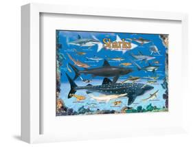 Sharks for Kids-null-Framed Art Print