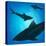 Sharks under Water. Fish in Ocean, Animal Nature Life, Swimming Wildlife, Vector Illustration-Zhukov-Stretched Canvas