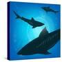 Sharks under Water. Fish in Ocean, Animal Nature Life, Swimming Wildlife, Vector Illustration-Zhukov-Stretched Canvas