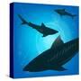 Sharks under Water. Fish in Ocean, Animal Nature Life, Swimming Wildlife, Vector Illustration-Zhukov-Stretched Canvas