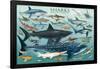 Sharks-null-Framed Poster