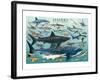 Sharks-null-Framed Art Print