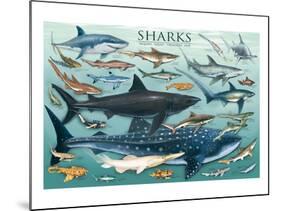 Sharks-null-Mounted Art Print