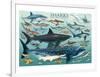 Sharks-null-Framed Art Print