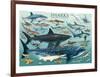 Sharks-null-Framed Art Print