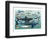 Sharks-null-Framed Art Print