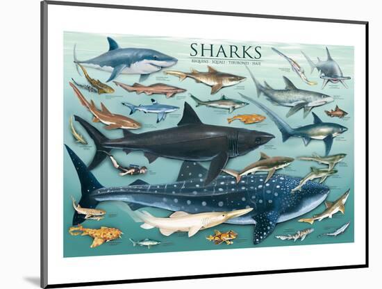 Sharks-null-Mounted Art Print