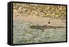 Sharks-Styve-Framed Stretched Canvas