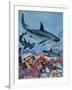 Sharks-G. W Backhouse-Framed Giclee Print