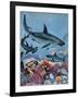 Sharks-G. W Backhouse-Framed Giclee Print