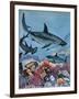 Sharks-G. W Backhouse-Framed Giclee Print