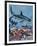 Sharks-G. W Backhouse-Framed Giclee Print