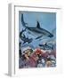 Sharks-G. W Backhouse-Framed Giclee Print