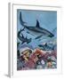 Sharks-G. W Backhouse-Framed Giclee Print