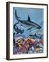 Sharks-G. W Backhouse-Framed Giclee Print