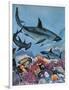 Sharks-G. W Backhouse-Framed Giclee Print