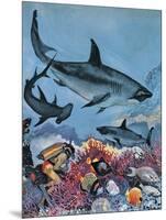 Sharks-G. W Backhouse-Mounted Giclee Print